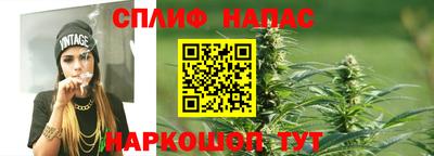 стафф Братск