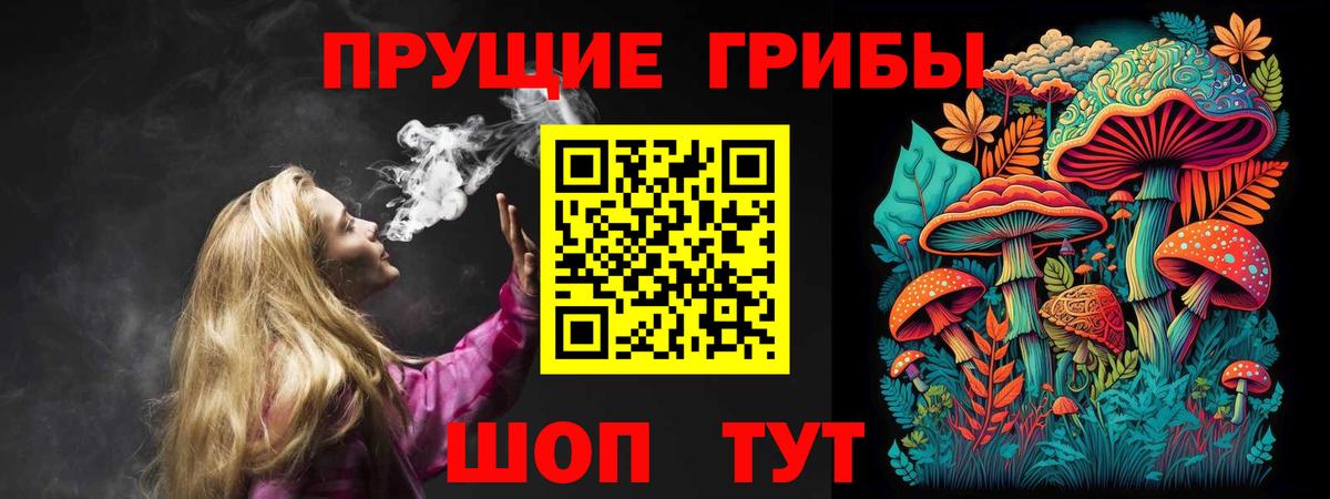 Галлюциногенные грибы Psilocybe  Вход с VPN  Аргун 